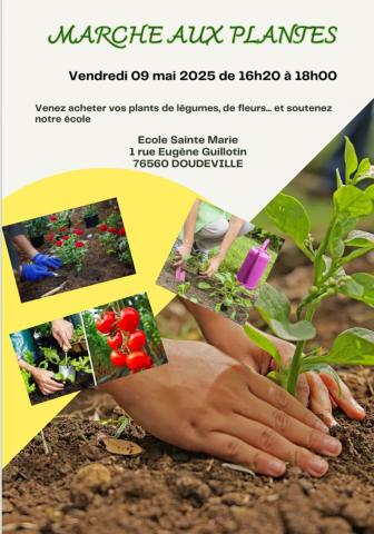 Marché aux plantes - École Sainte-Marie