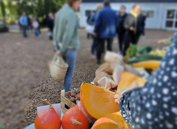 Marché fermier / École-Jardin - 2023