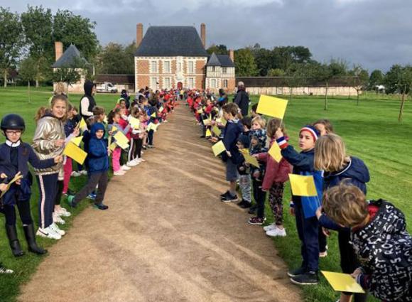 Année du sport