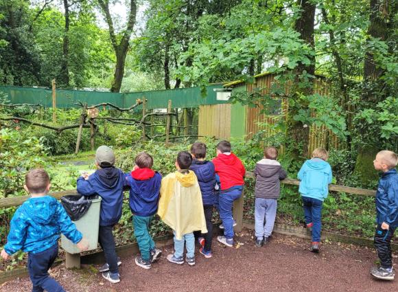 Sortie au Zoo avec les maternelles - École Notre Dame