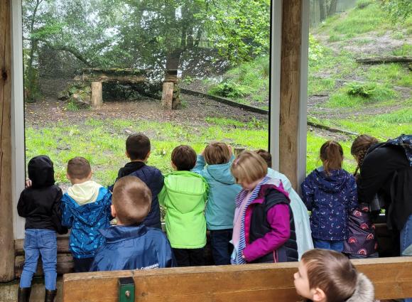 Sortie au Zoo avec les maternelles - École Notre Dame