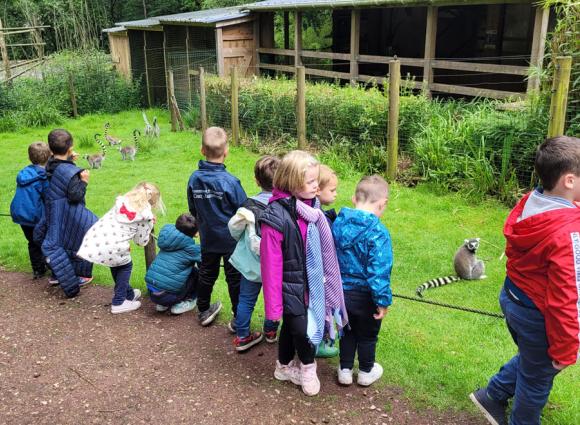 Sortie au Zoo avec les maternelles - École Notre Dame