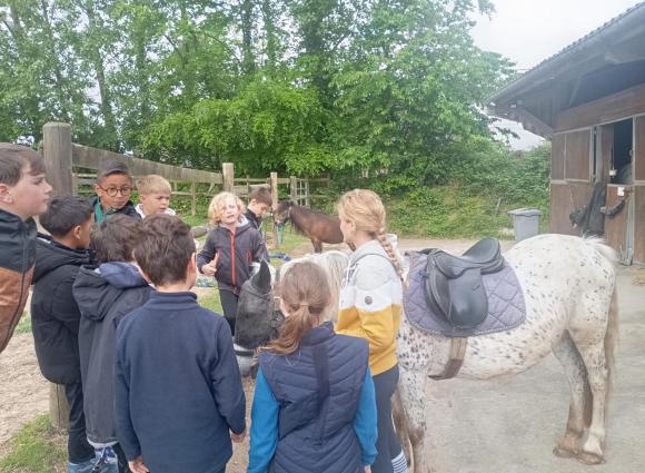 Sortie équestre des CE2 à Rocquefort 